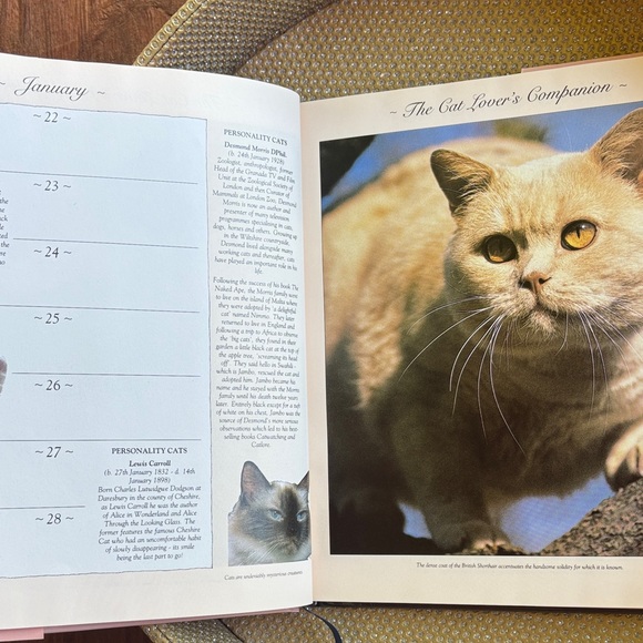 Cat Zodiac Calendar Schedule Picture Book - Picture 10 of 14